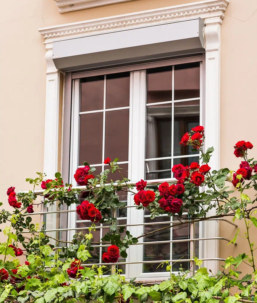 Sash windows